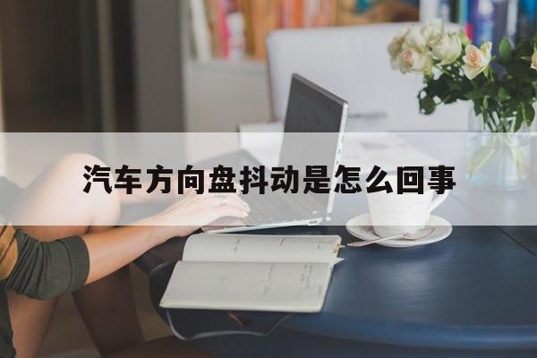 汽车方向盘抖动是怎么回事(汽车打方向盘吱吱响怎么解决)