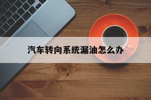 汽车转向系统漏油怎么办(汽车方向机漏油会造成什么后果)